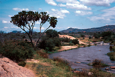 tsavo_river