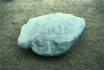 Plymouth Rock