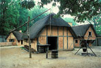 Wattle Daub