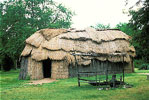 Longhouse