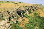 Buffalo Jump