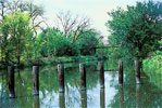 Hennepin Canal