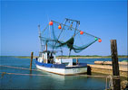 Shrimpers