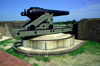 double-banded seacoast rifle
