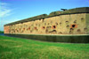 cannon-damage