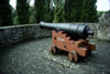 cannon