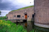 muiden ft