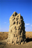 termite mound