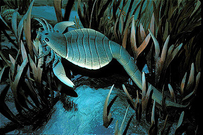 Eurypterid 