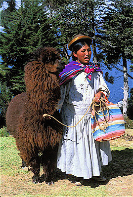Woman with Alpaca