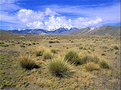 Huana Potosi Mountain