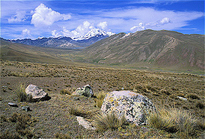 Altiplano wth Andes Mountains