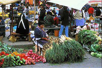 Otavalo Market