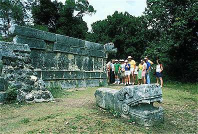  Tour Group 