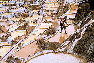 Salt Pans  Maras, Peru 