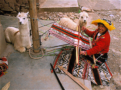 Weaver with Lamas