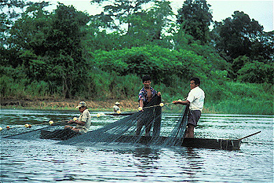 Fishermen Hauling in Net 