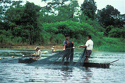 Fishermen Hauling in Net 