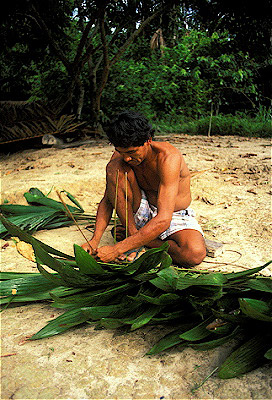 Man Making Thatch 