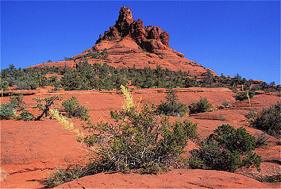 Bell Rock