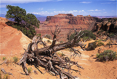 Canyonlands National Park