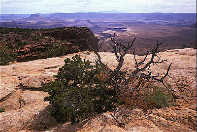 Canyonlands National Park