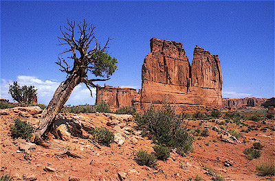 Courthouse Towers