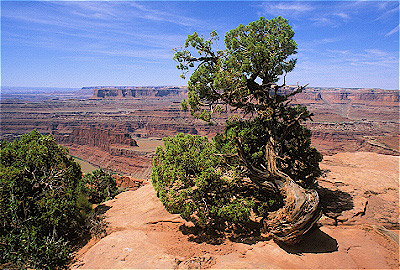 Dead Horse Point State Park