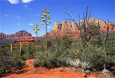 Oak Creek Canyon