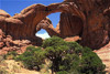 double arch