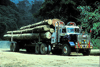 TLogging Truck