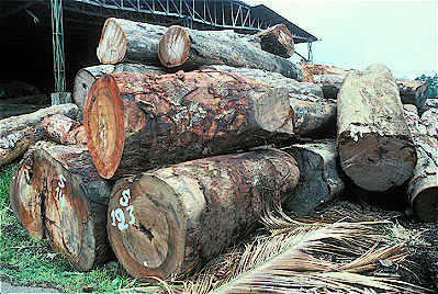 Stacked Logs