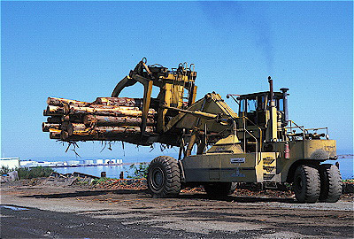 Stacking Logs