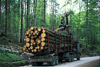 logging truck