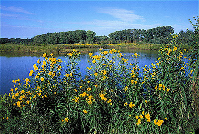 Chicago Botanic Garden - 