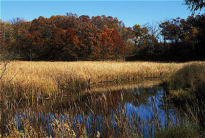 Moraine Hills pond