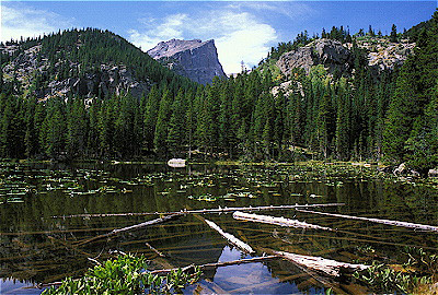 Nymph Lake