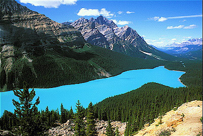 Peyto Lake