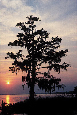 Lake Pontchartrain