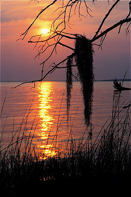 Lake Pontchartrain