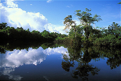 Quebrado Blanco