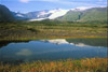 pond in iceland