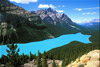 peyto lake