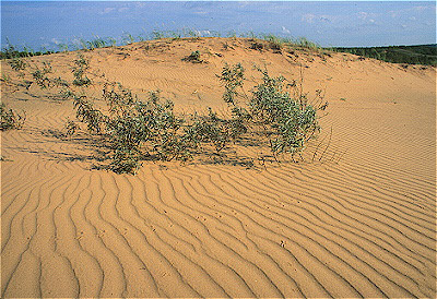 Grand Sable Dunes