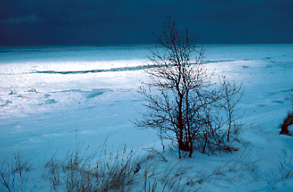 Frozen Lake Michigan