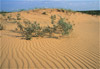 grand sable dunes