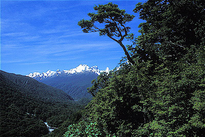 Fiordland National Park