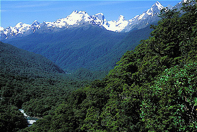 Fiordland National Park