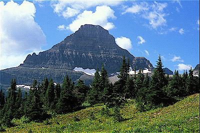 Logan Pass/Glacier National Park