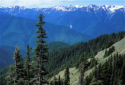 Olympic National Park